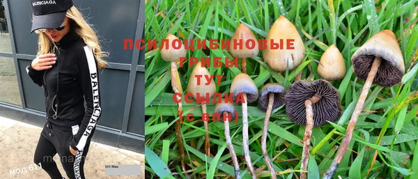 бошки Володарск