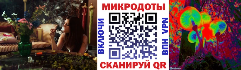 Купить закладки  Пионерский  Псилоцибиновые грибы GOLDEN TEACHER 